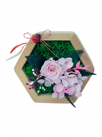 Aranjamente florale cu plante uscate - Aranjament floral hexagon cu licheni , mini roza si plante criogenate (Roz)