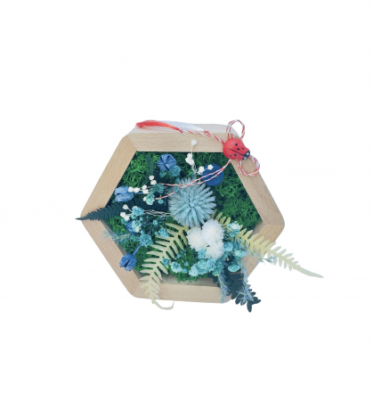 Aranjamente florale cu plante uscate - Aranjament floral hexagon cu licheni , plante uscate si plante criogenate (Albastru, verde)