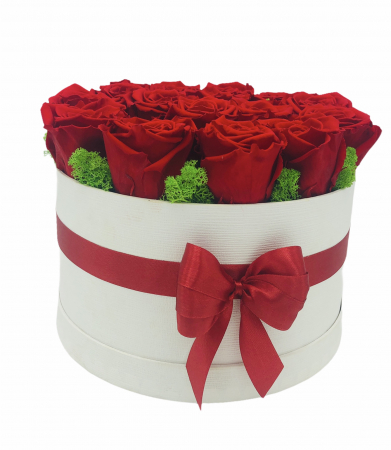 Aranjament floral in cutie cadou, Eventissimi, 15 Trandafiri Naturali Criogenati, Licheni naturali stabilizati, Rosu/Alb, personalizabil [2]