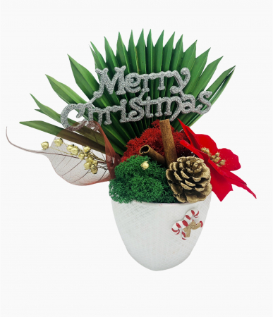 Craciun - Aranjament Floral Merry Christmas cu Licheni si alte elemente naturale, Eventissimi, Multicolor