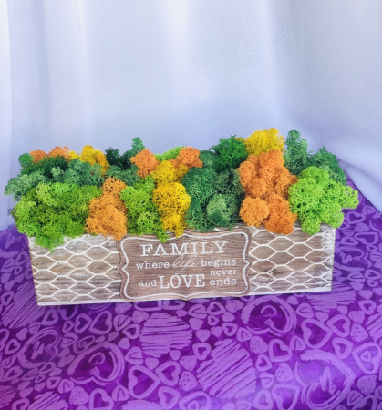 Aranjament floral personalizabil cu licheni stabilizati in cutie cadou, Eventissimi, Multicolor [4]