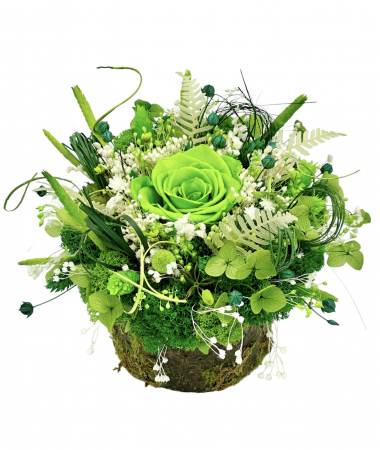 Aranjamente florale cu plante uscate - Aranjament floral personalizabil cu licheni, trandafir si plante naturale criogenate si stabilizate pe suport tip buturuga (Verde)