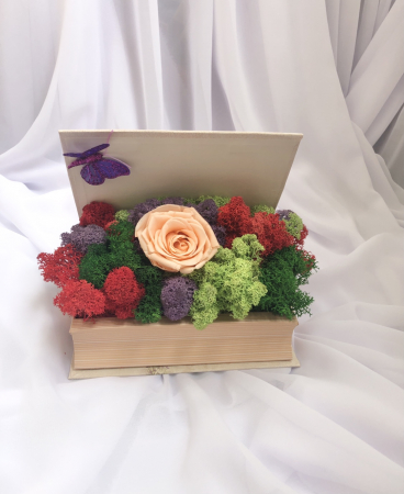 Aranjament floral personalizabil in carte cu licheni stabilizati si trandafir criogenat, Eventissimi [3]
