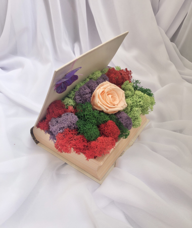 Aranjament floral personalizabil in carte cu licheni stabilizati si trandafir criogenat, Eventissimi [1]