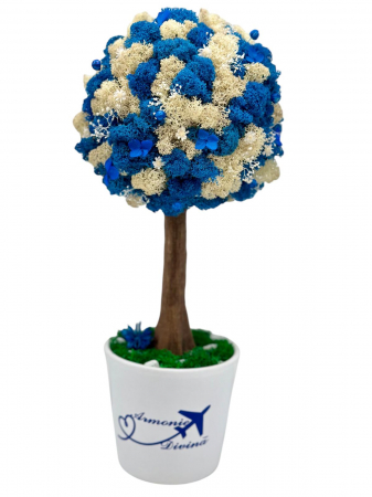 Pomisori cu licheni - Aranjament floral personalizabil, mediu 38 cm, tip copacel / pomisor cu licheni naturali stabilizati si flori criogenate si uscate in vas ceramic (Alb-Albastru)