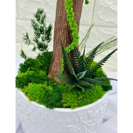 Aranjament floral tip Copacel / Pomisor cu licheni naturali stabilizati si plante naturale criogenate, Verde, 55 cm, vaza ceramica [2]