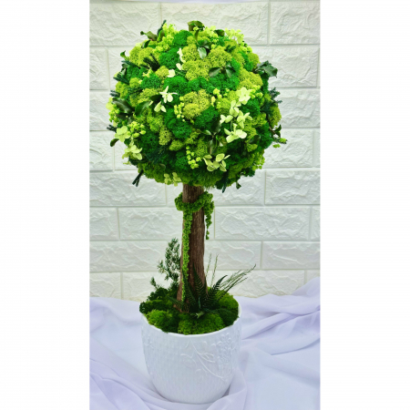 Aranjament floral tip Copacel / Pomisor cu licheni naturali stabilizati si plante naturale criogenate, Verde, 55 cm, vaza ceramica [1]