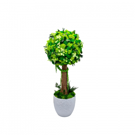 Pomisori cu licheni - Aranjament floral tip Copacel / Pomisor cu licheni naturali stabilizati si plante naturale criogenate, Verde, 55 cm, vaza ceramica