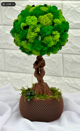 Pomisor cu licheni din muschi naturali stabilizati si plante criogenate cu trunchi statueta indragostiti, mediu (30x15x15 cm), verde / maro [4]