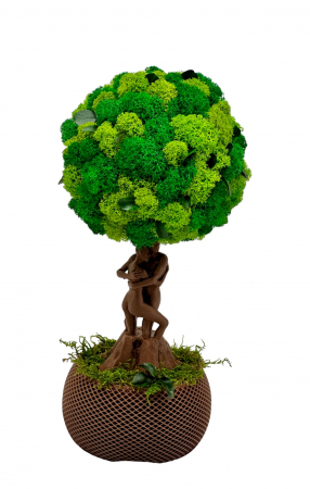 Pomisor cu licheni din muschi naturali stabilizati si plante criogenate cu trunchi statueta indragostiti, mediu (30x15x15 cm), verde / maro