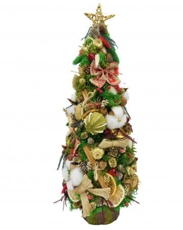Pomisori cu licheni - Brad Craciun, 50 cm, cu muschi, licheni si elemente naturale (Multicolor)