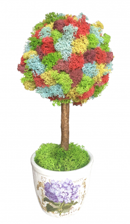 Pomisori cu licheni - Copacel EVENTISSIMI - Licheni Stabilizati „Curcubeu”, Multicolor, 25 cm