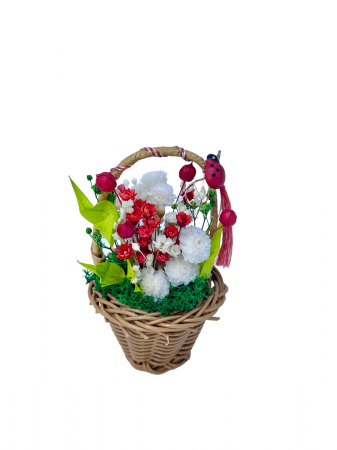 Aranjamente florale cu plante uscate - Cosulet cu flori si licheni (Multicolor)
