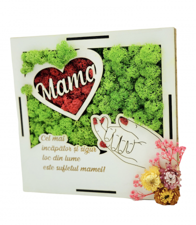 Decoratiune cu licheni pentru mama, 20x20 cm, Eventissimi, Verde cu Rosu [0]