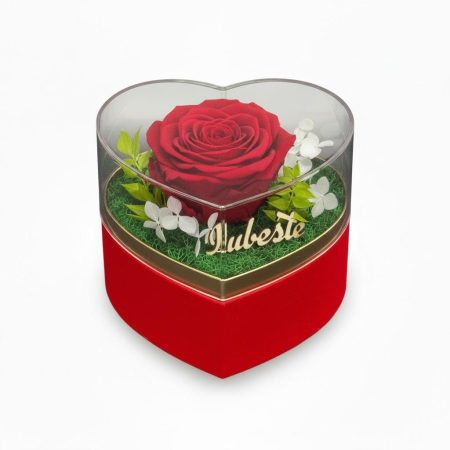 Inima cu trandafir criogenat si licheni naturali stabilizati in cutie catifea rosie [3]