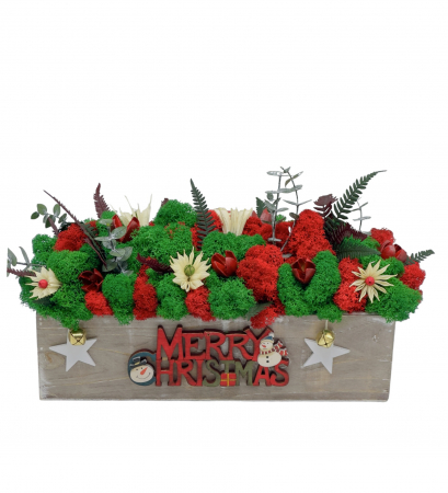 Aranjamente cu licheni - Jardiniera cu doua fete, Craciun si restul anului (Rosu / Verde)