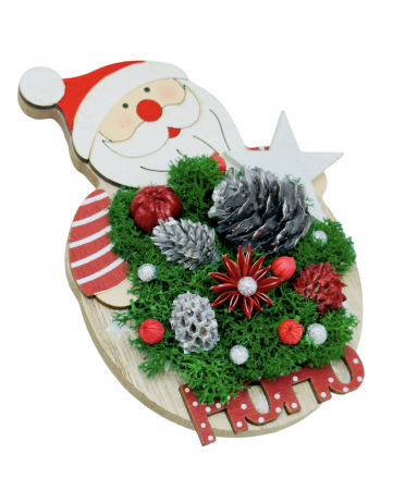 Aranjamente cu licheni - Magnet de frigider cu licheni stabilizati pentru Craciun
