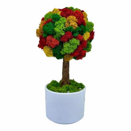 Pomisori cu licheni - Pomisor cu licheni naturali stabilizati cu trunchi printat 3D, mic (28x14x14 cm), Multicolor