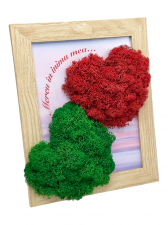 Tablouri cu licheni - Tablou cu licheni personalizabil, inimi (Rosu/Verde)