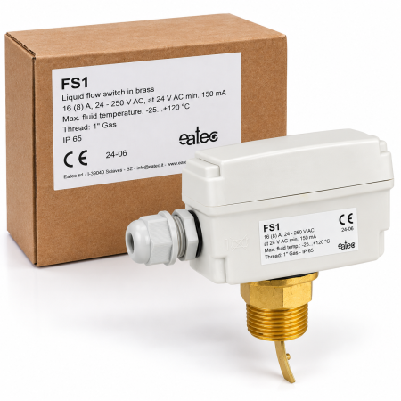 Automatizare - Fluxostat FS1 pentru lichide, corp alamă, filet 1", IP65 – EATEC