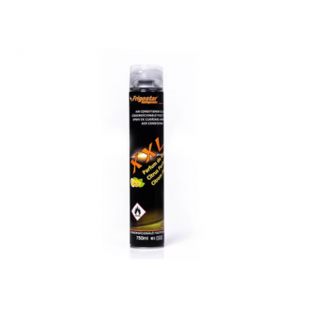 Accesorii si consumabile - Spray curatat si igienizare Aer Conditionat Frigostar XXL 750 ml - 00555