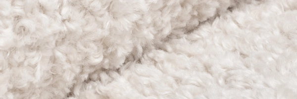 Textura boucle