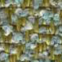 img-attr