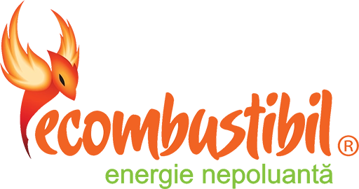 logo e-combustibil