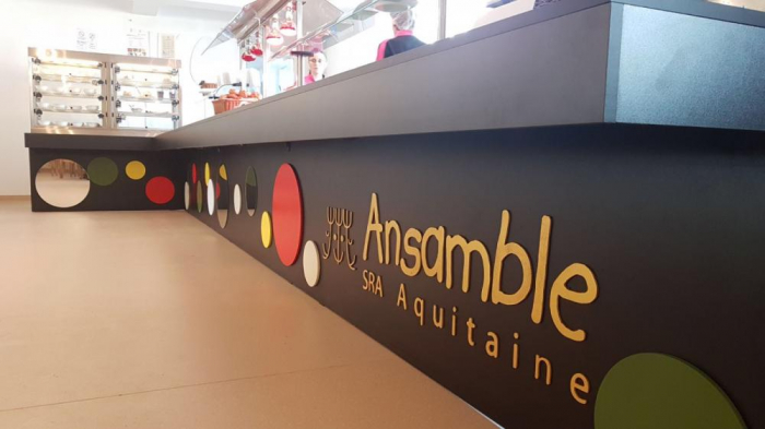 Ansamble sra Aquitaine - Cantina Atos - Timisoara, TM (2018) [2]