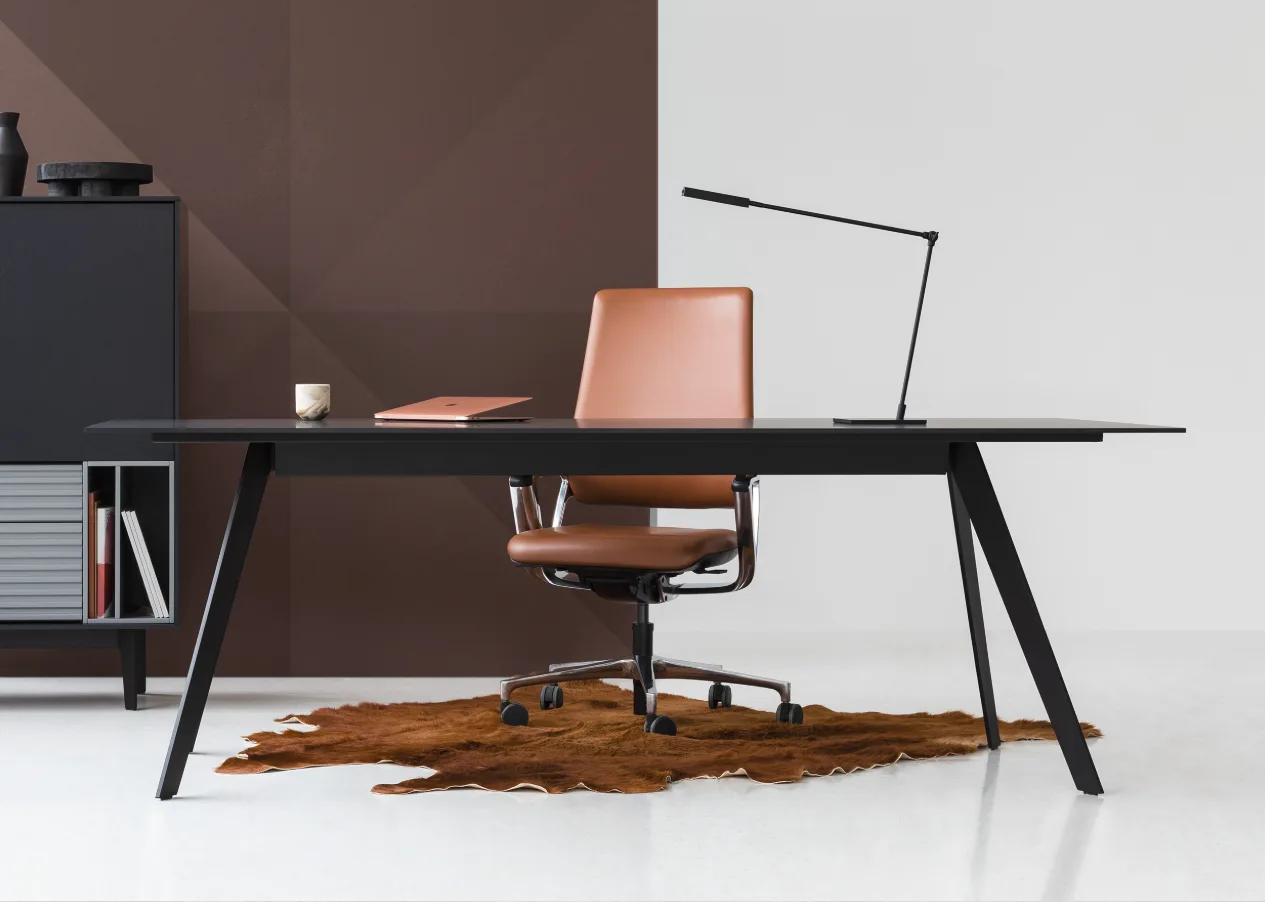 Birou executiv / managerial cu design modern - DIGNIS [2]