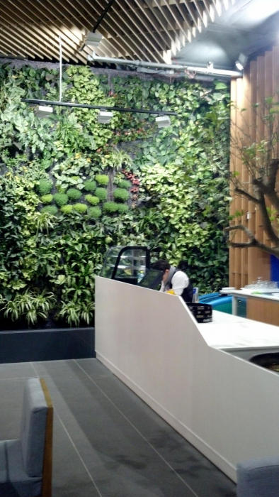Cafenea Millano - Mall Ploiesti, PH (2012) [8]