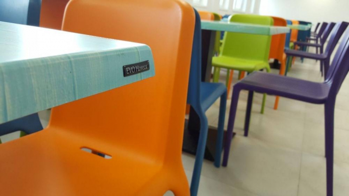 Cantina Scoala Pro Ingenio - Bucuresti (2017) [4]