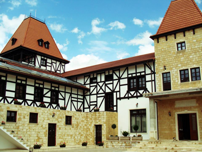 Complex Castel Mosnita - salon berarie - Mosnita Noua, TM (2013) [9]
