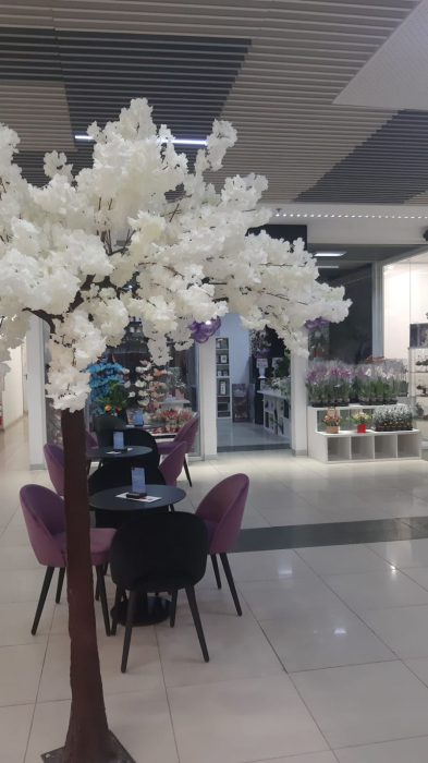 Floraria Rhapsody - Centrul Comercial Auchan - Craiova, DJ (2019) [6]