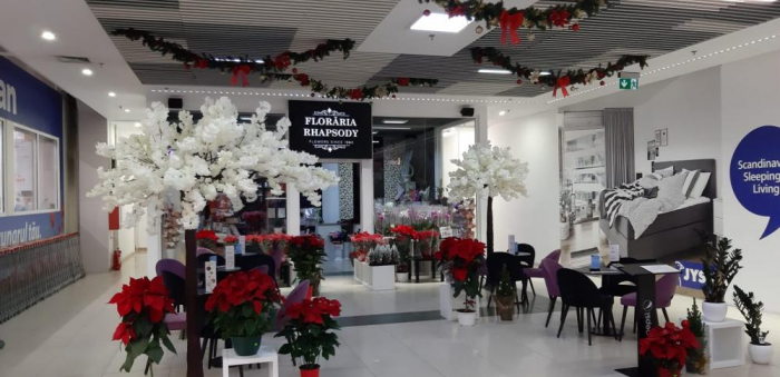 Floraria Rhapsody - Centrul Comercial Auchan - Craiova, DJ (2019) [2]