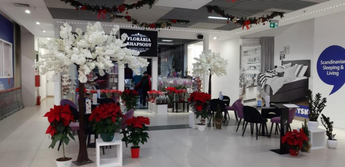 Floraria Rhapsody - Centrul Comercial Auchan - Craiova, DJ (2019) [4]
