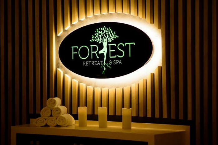 Forest retreat & spa - Maciuca, VL (2016) [7]