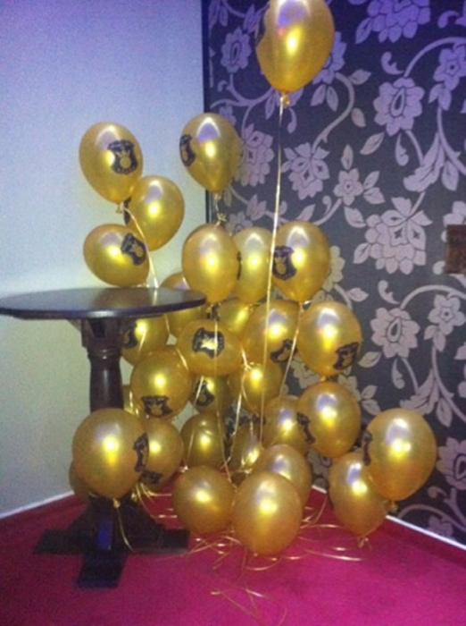 Premierwin 365 Casino - Pitesti, AG (2012) [4]