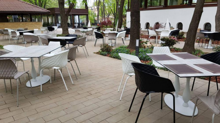 Restaurant Casa Doina - Kiseleff, Bucuresti (2017) [11]