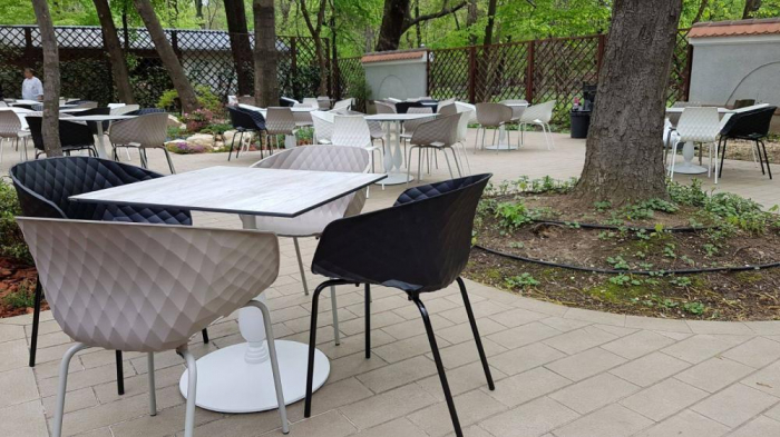 Restaurant Casa Doina - Kiseleff, Bucuresti (2017) [4]