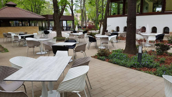 Restaurant Casa Doina - Kiseleff, Bucuresti (2017) [9]