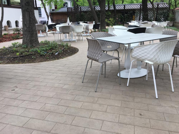 Restaurant Casa Doina - Kiseleff, Bucuresti (2017) [8]