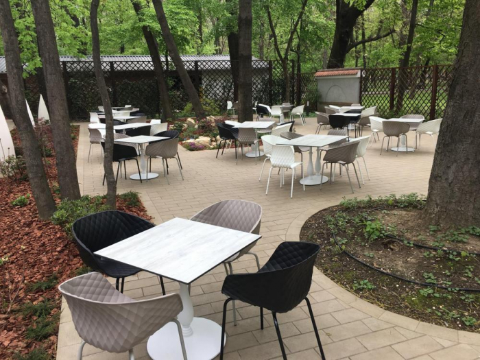 Restaurant Casa Doina - Kiseleff, Bucuresti (2017) [13]