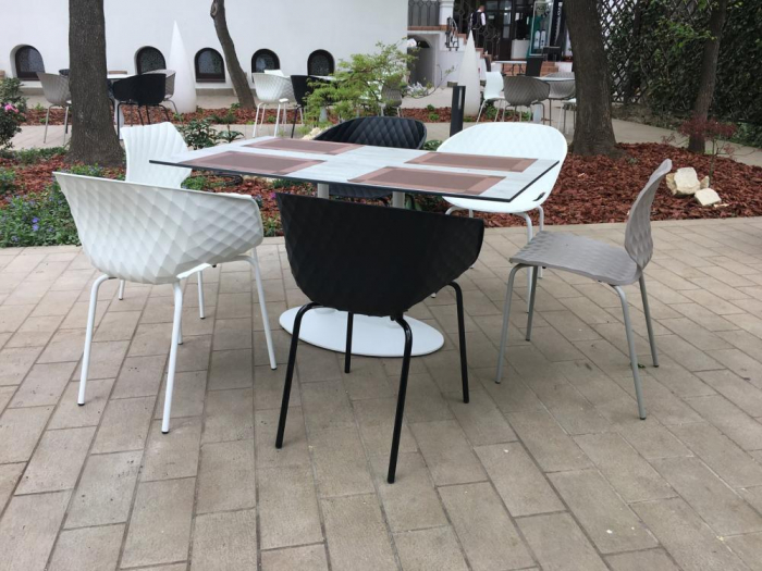 Restaurant Casa Doina - Kiseleff, Bucuresti (2017) [15]