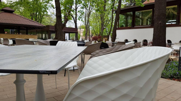 Restaurant Casa Doina - Kiseleff, Bucuresti (2017) [10]
