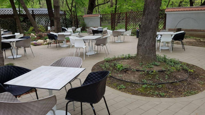 Restaurant Casa Doina - Kiseleff, Bucuresti (2017) [6]