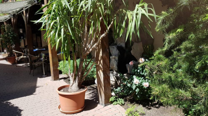 Restaurant Potcoava - Bucuresti (2018) [10]