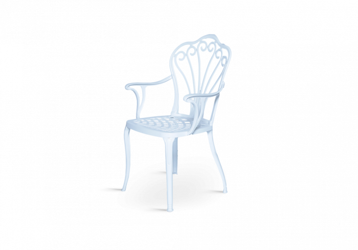 Scaun de terasa cu brate din metal in stil art nouveau - SUWAN CG 507 [2]