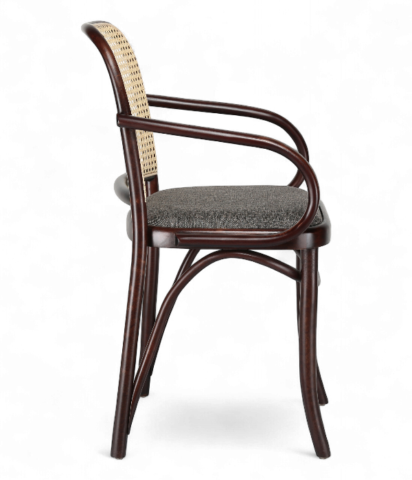Scaun cu brate in stil mid century pentru HoReCa - NEST [2]