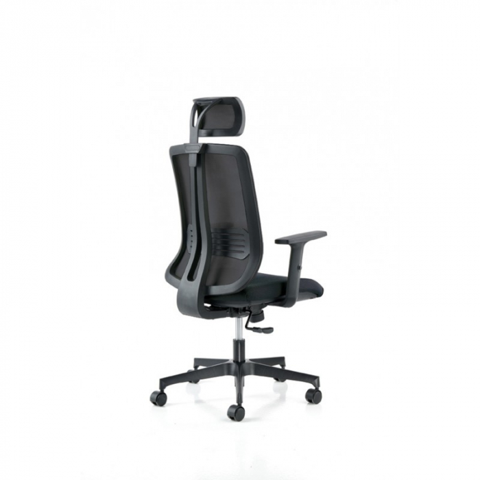 Scaun office ergonomic cu brate VERTIGO PDH [3]